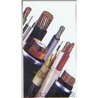 控制电缆 工业自动化与智能控制系统的“神经”